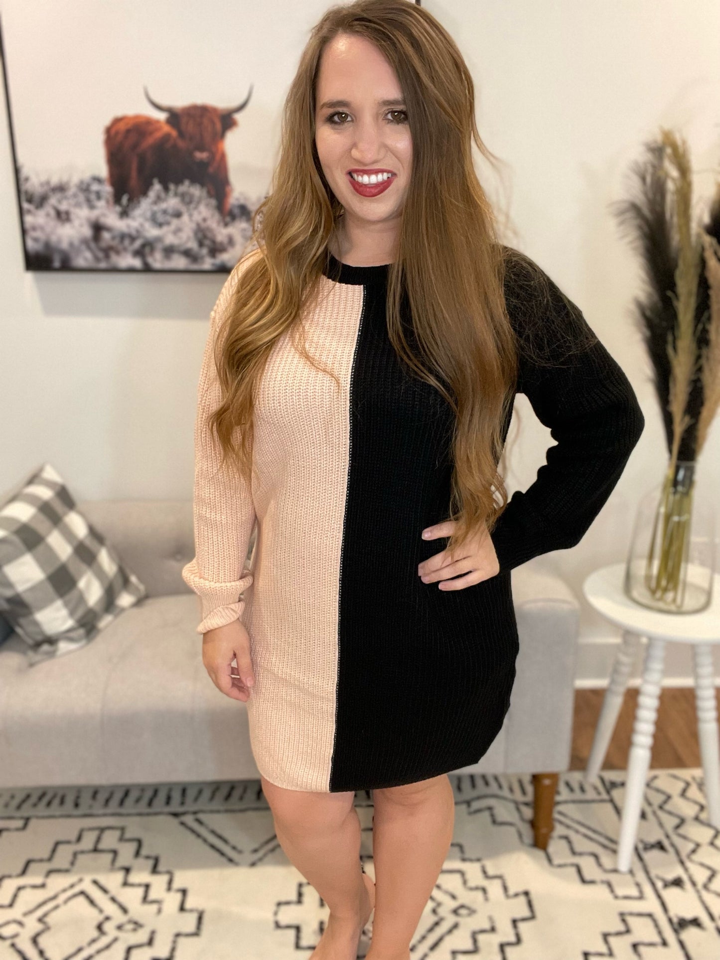 2 Tone Sweater Dress