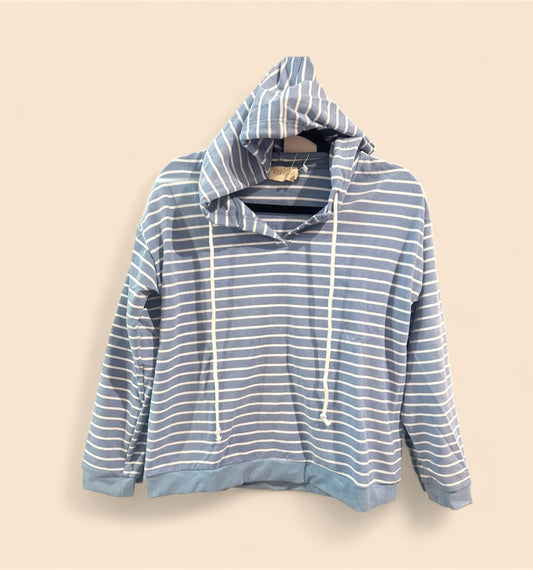 Blue striped Hoodie