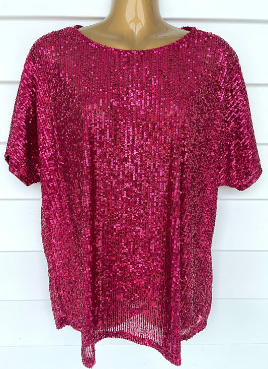 Sasha Unlined Sequin Top